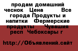 продам домашний чеснок › Цена ­ 100 - Все города Продукты и напитки » Фермерские продукты   . Чувашия респ.,Чебоксары г.